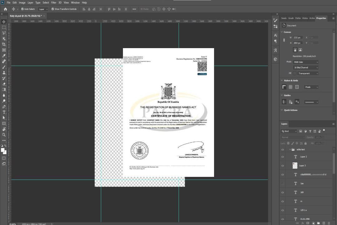 Certificat d'enregistrement de nom commercial en Zambie Modèle Word et PDF template
